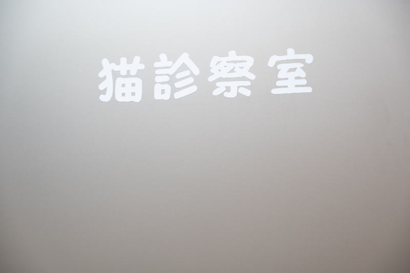 猫診察室
