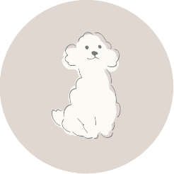 犬