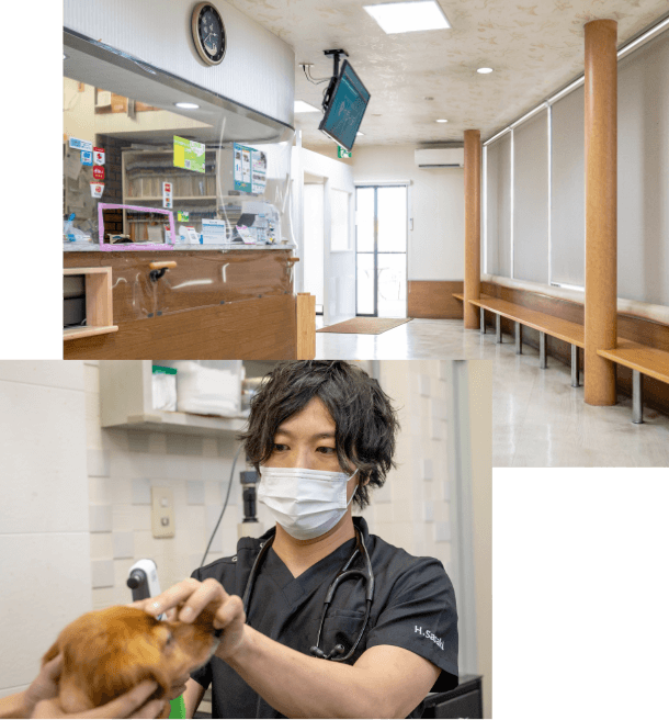 みどり動物病院診療風景